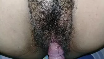 Hairy and Wet Pussy