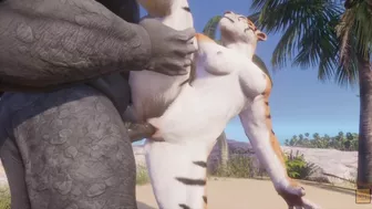 Wild Life / Furry Mating Rihno and Tiger