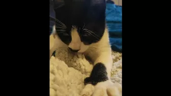 Look at my pussy while I'm on the bed