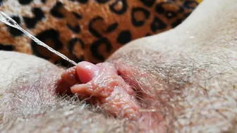 Huge erected clitoris after orgasm grool play close up