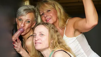 Glory Holes for Mature Mommas