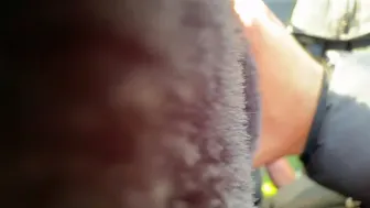 Public sex on a motorcycle. Met a girl in Amsterdam. Went for a ride and fucked her outside the city. In front of people. Nice view.