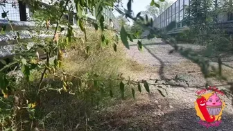 He falls off his bike to look at Ladymuffin