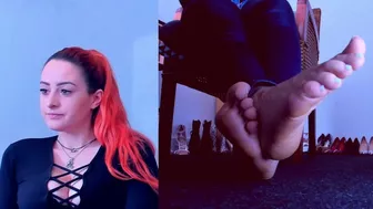 This is your new home under my desk with the most amazing view of my feet